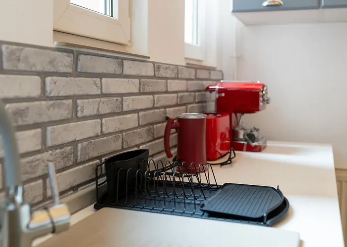 Historic Palace In Main Square-unirii Plazza Cluj-Napoca