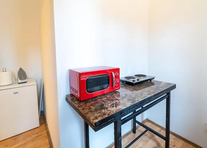 Historic Palace In Main Square-unirii Plazza * Cluj-Napoca