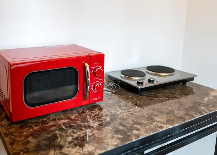 Historic Palace In Main Square-unirii Plazza Villa Cluj-Napoca