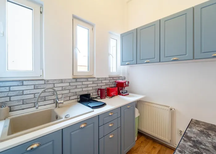 Historic Palace In Main Square-unirii Plazza